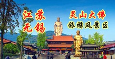 日本大鸡巴免费在线江苏无锡灵山大佛旅游风景区