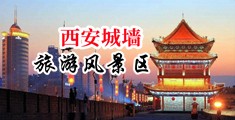 东北骚逼网站中国陕西-西安城墙旅游风景区